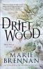 Book cover for "Driftwood"