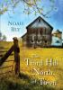 Book cover for "The third hill north of town"
