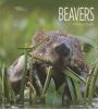 Book cover for "Beavers".