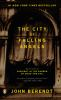 Book cover for "The city of falling angels"