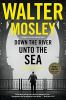 Book cover for "Down the river unto the sea".