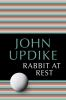 Book cover for "Rabbit at rest"
