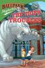 Book cover for "The Tiger troubles".