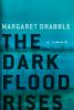 Book cover for "The dark flood rises".