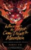 Book cover for "When the tiger came down the mountain"