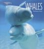 Book cover for "Whales".