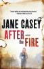 Book cover for "After the fire".