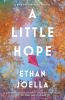 Book cover for "A little hope"