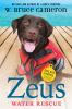 Book cover for "Zeus"