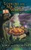 Book cover for "Looking for Mr. Good Witch".