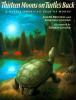 Book cover for "Thirteen moons on turtle's back"