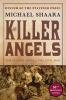 Book cover for "The killer angels".