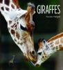 Book cover for "Giraffes".