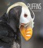Book cover for "Puffins".