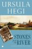 Book cover for "Stones from the river"