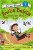 Book cover for "Amelia Bedelia is for the birds".