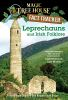 Book cover for "Leprechauns and Irish folklore".