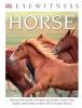 Book cover for "Horse".