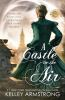 Book cover for "A castle in the air".