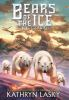 Book cover for "The keepers of the keys".