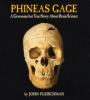 Book cover for "Phineas Gage"