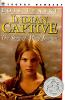 Book cover for "Indian captive"