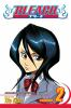 Book cover for "Bleach".