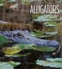 Book cover for "Alligators".