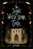 Book cover for "Secret of White Stone Gate".