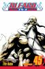 Book cover for "Bleach".
