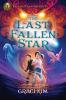 Book cover for "The last fallen star"