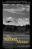 Book cover for "The second mouse".