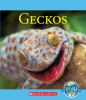Book cover for "Geckos".