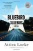 Book cover for "Bluebird, bluebird"