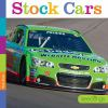 Book cover for "Stock cars".