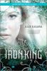 Book cover for "The iron king"