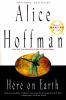 Book cover for "Here on Earth"