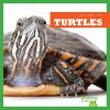 Book cover for "Turtles".