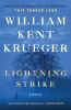 Book cover for "Lightning strike".