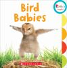 Book cover for "Bird babies".