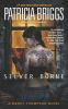 Book cover for "Silver borne".