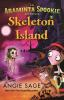 Book cover for "Skeleton Island".