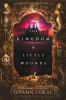 Book cover for "The kingdom of little wounds"