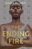 Book cover for "The ending fire".