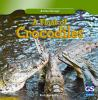 Book cover for "A float of crocodiles".