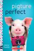 Book cover for "Pigture perfect"