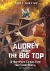 Book cover for "Audrey under the big top".