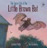 Book cover for "The secret life of the little brown bat".
