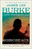 Book cover for "Robicheaux".