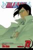 Book cover for "Bleach".